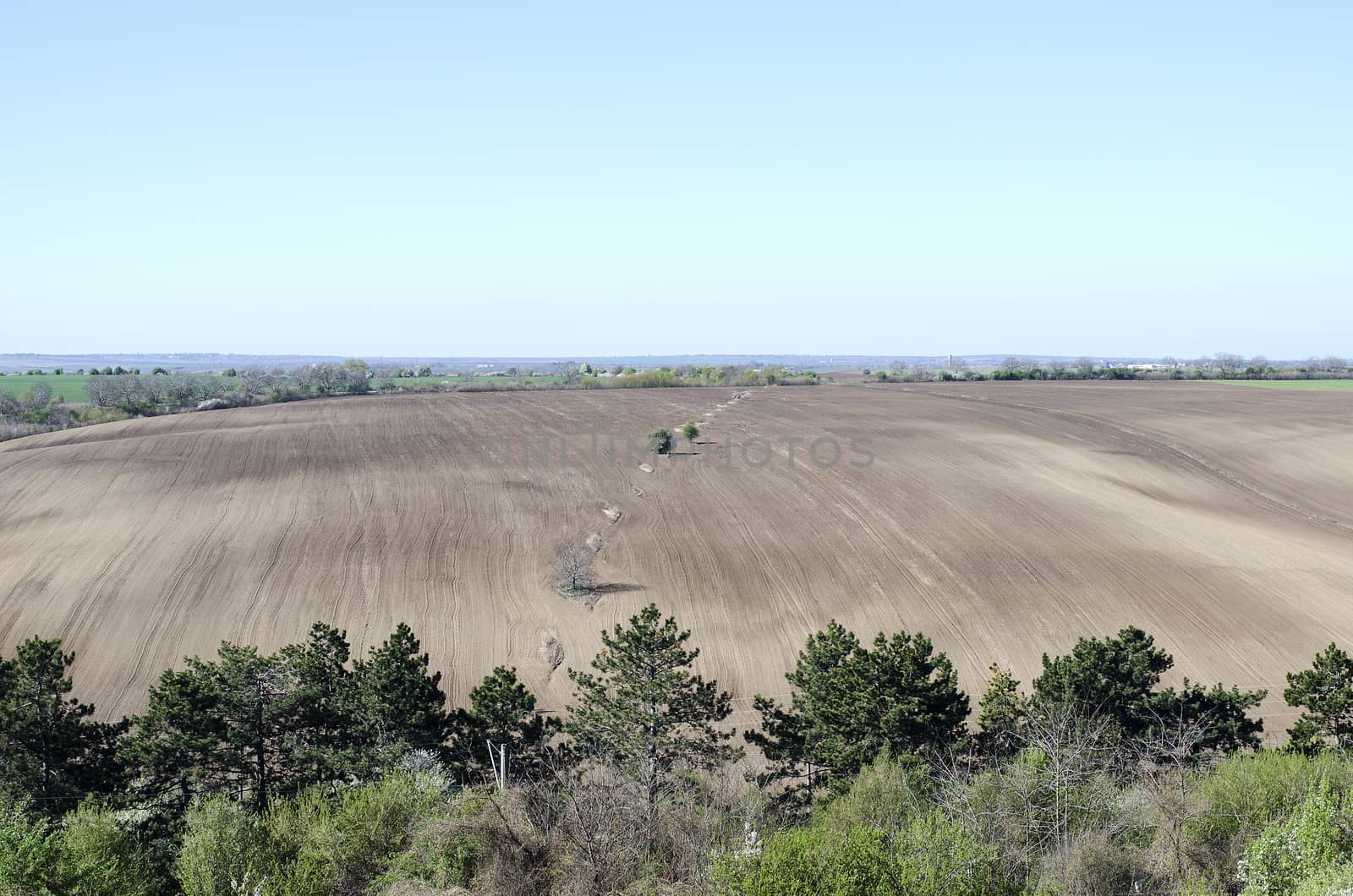 Plowed agricultural field