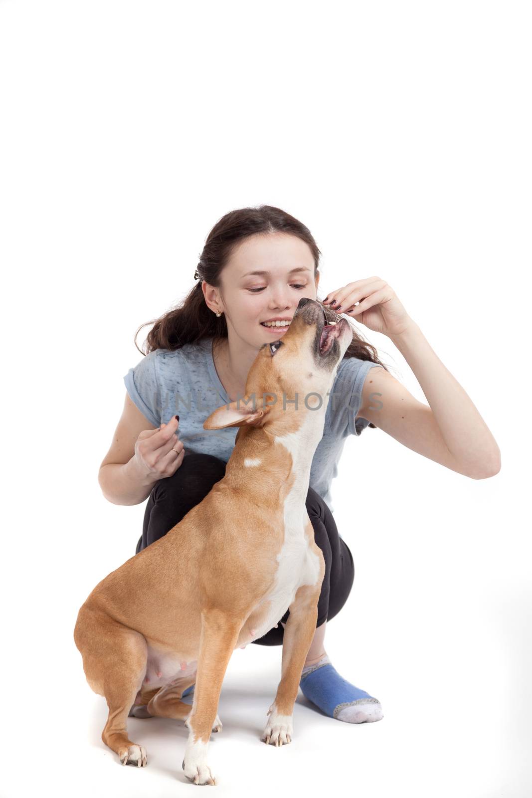 the young beautiful girl trains a dog