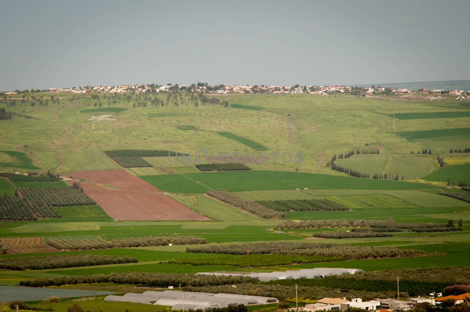 View of the Galilee - cultived fields , Israel .