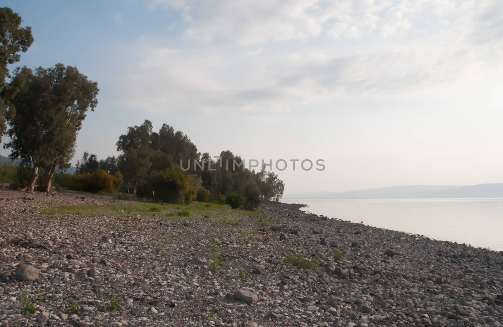View of Galilee sea . Kinneret by LarisaP