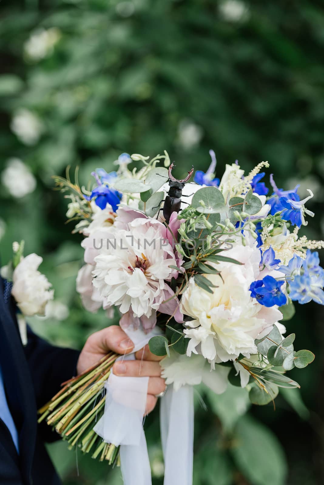 The groom holding a wedding bouquet of peonies on which stag beetle sitting by d_duda