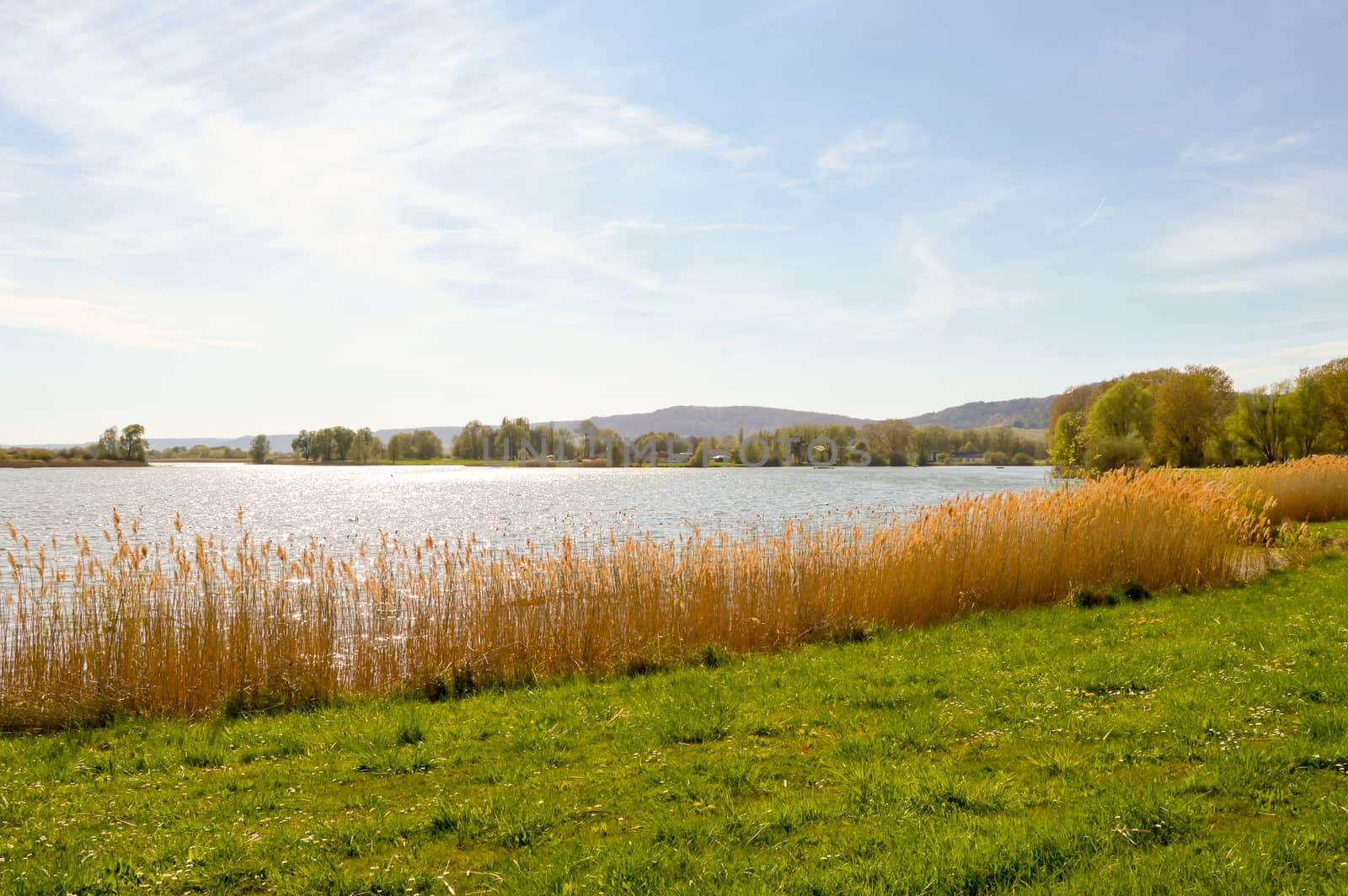 View of the lake of Madine  by Philou1000