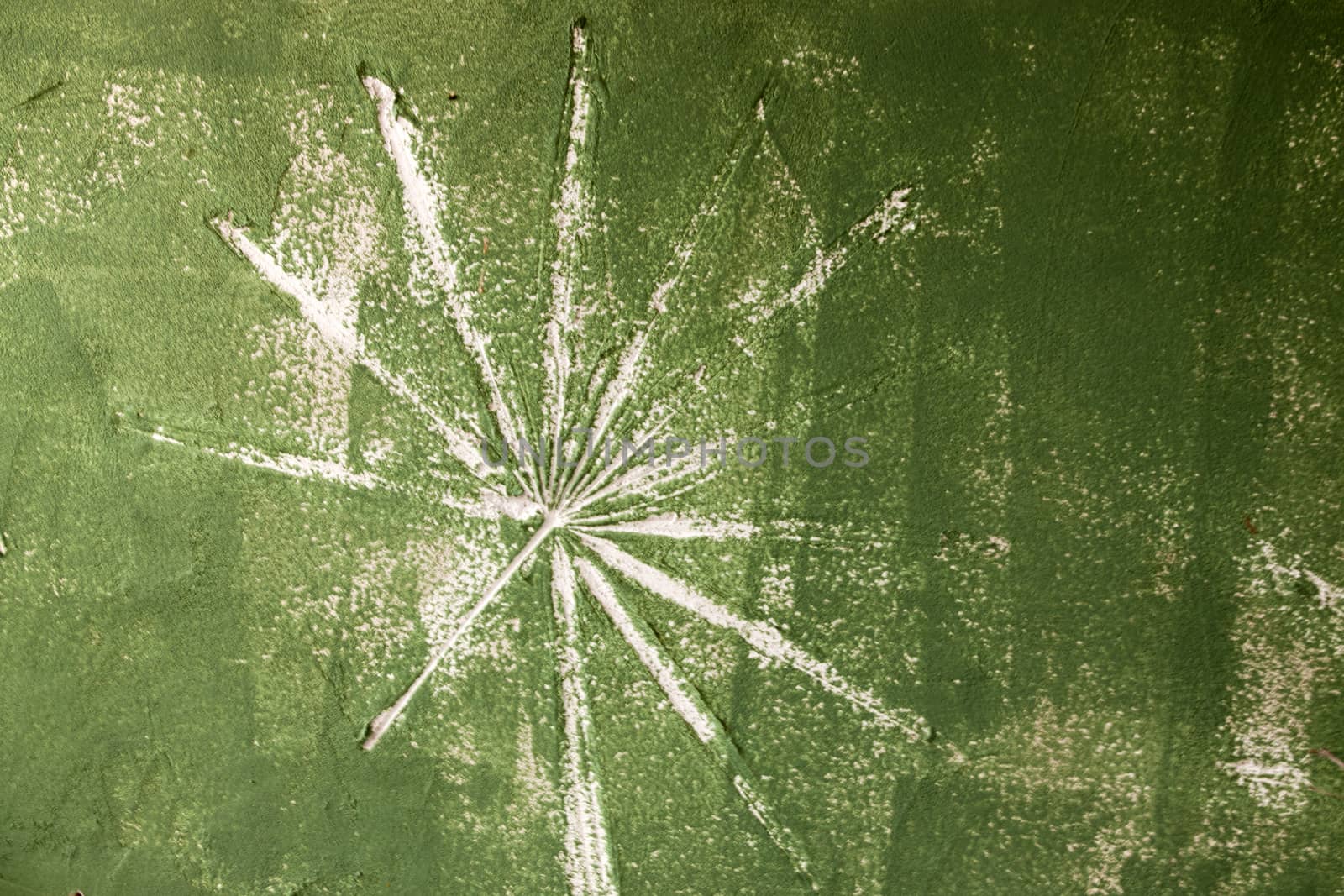 Texture and background of wite bare concrete wall painted green color.