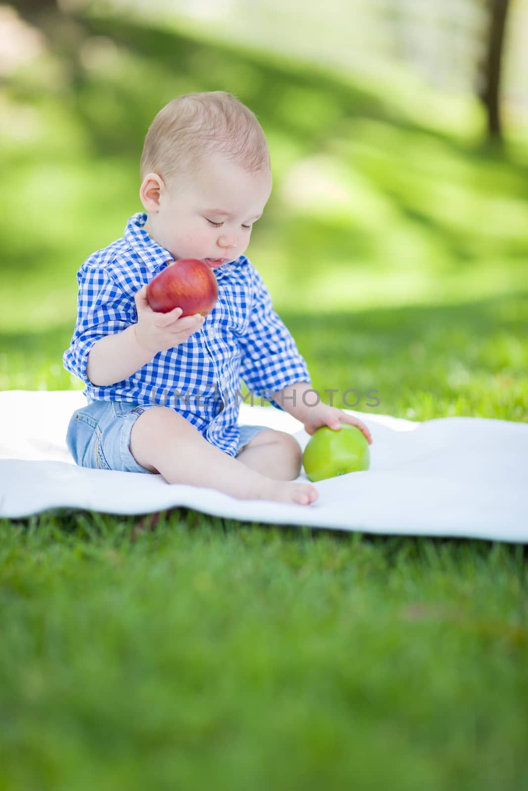 Mixed Race Infant Baby Boy Sitting on Blanket Comparing Apples t by Feverpitched