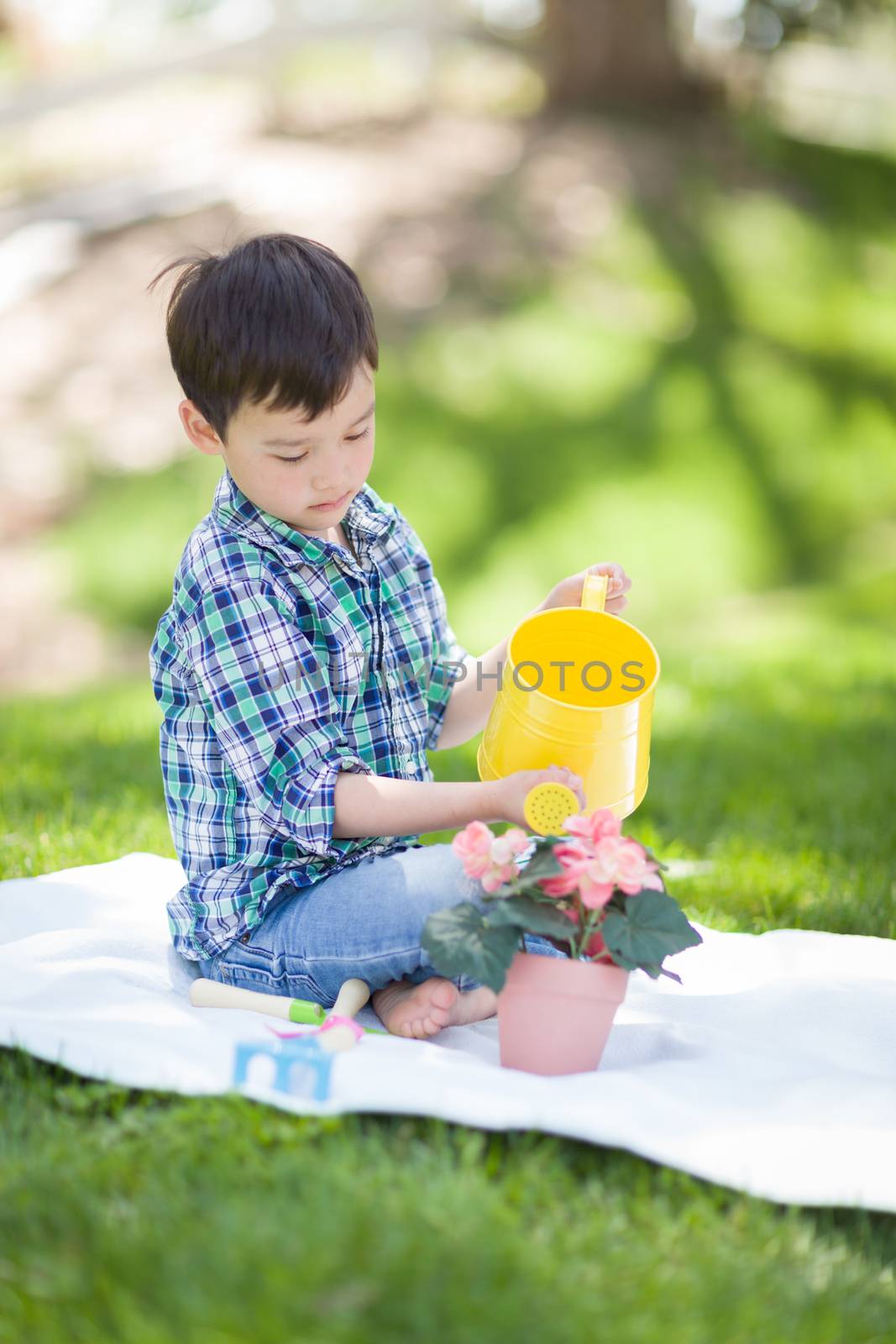 Mixed Race Young Boy Watering His Potted Flowers Outside On The  by Feverpitched