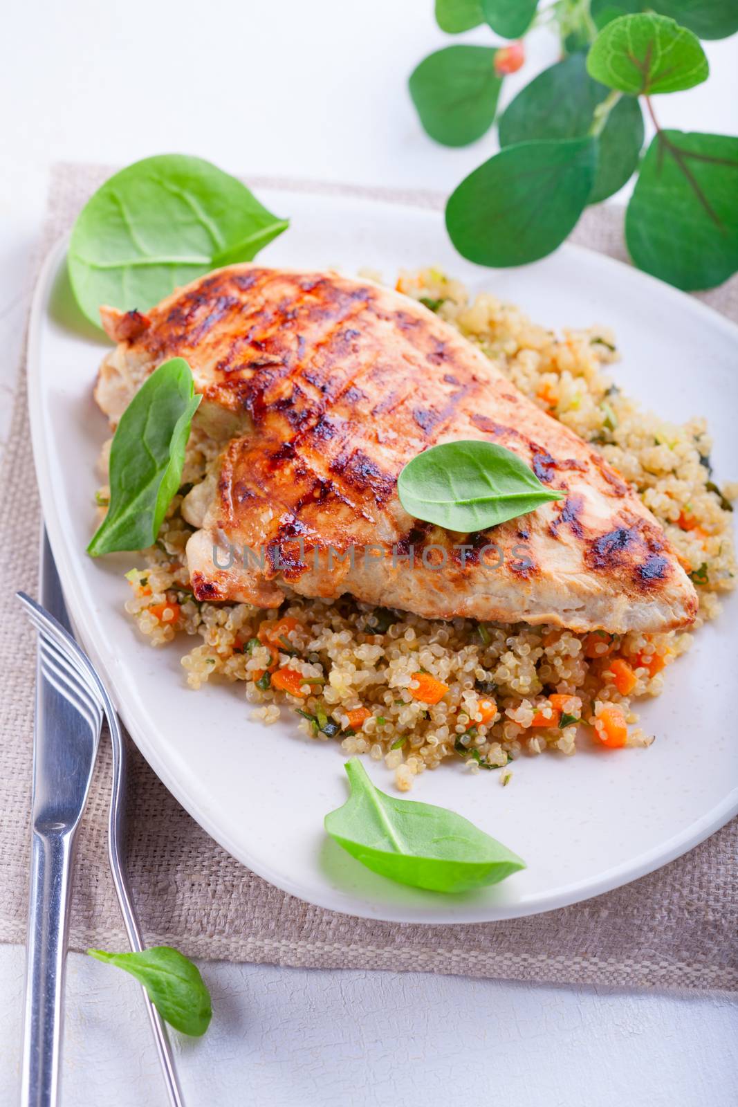 Grilled chicken breast  with quinoa and vegetables
