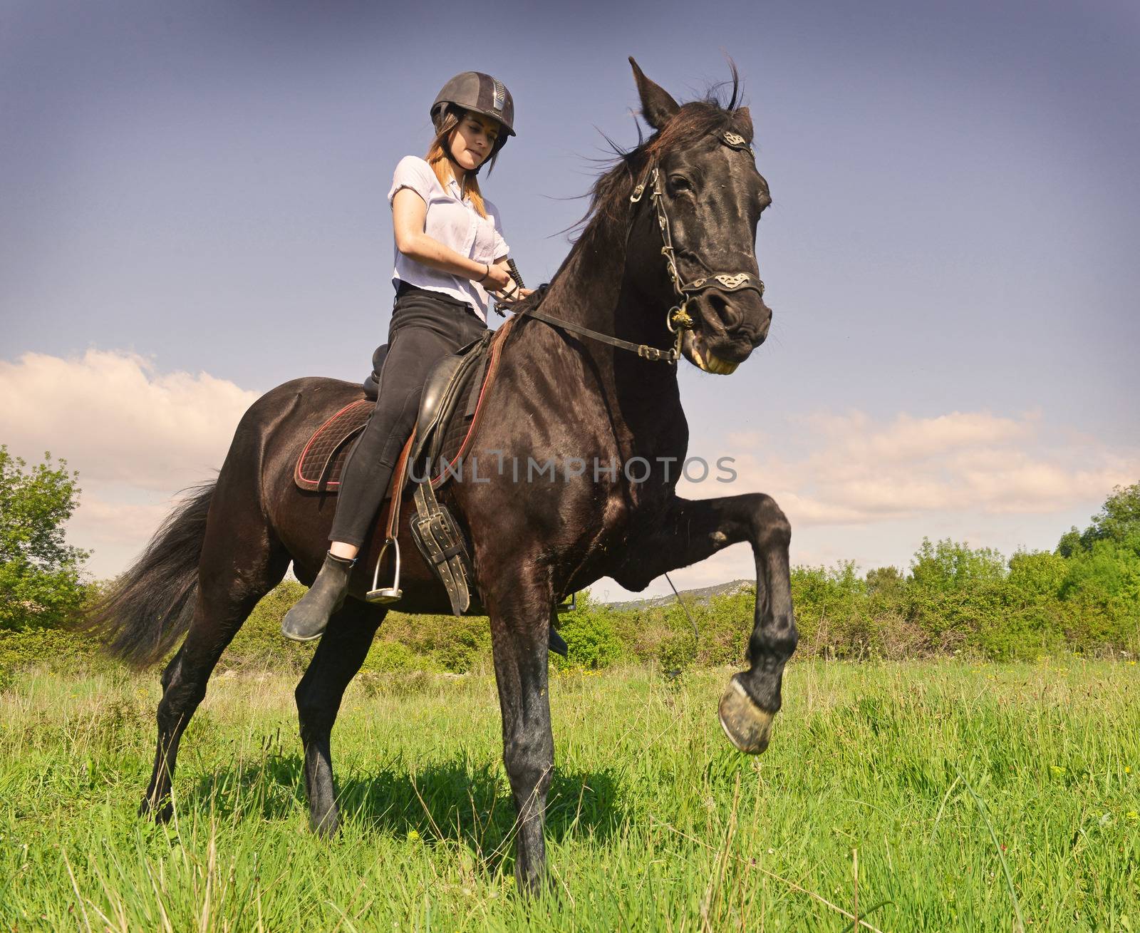 young riding girl and her black stallion in nature