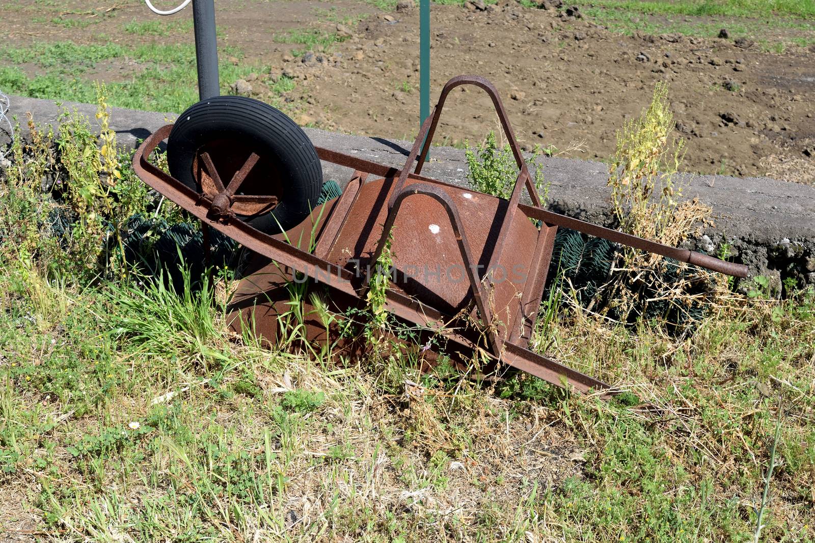 old broken and rusty wheelbarrow abandoned on a lawn