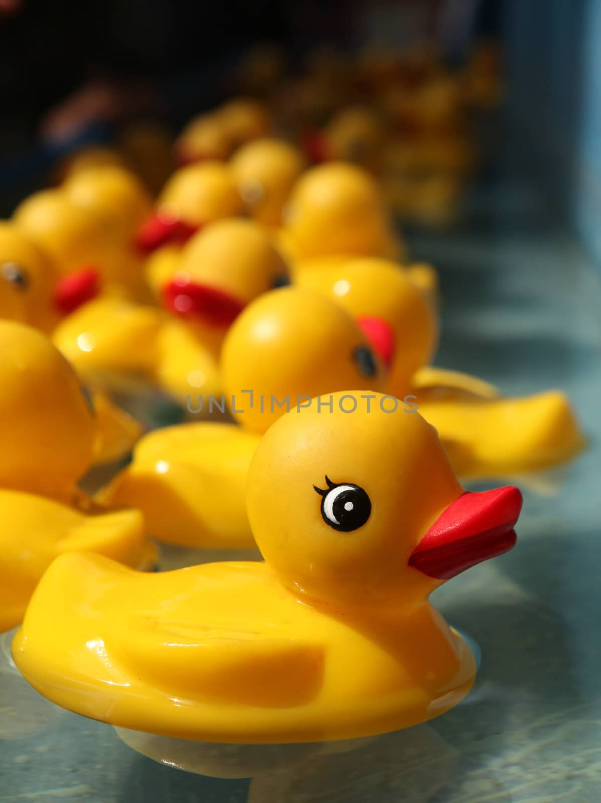 Rubber Duckies Floating in a Carnival Game by tobkatrina