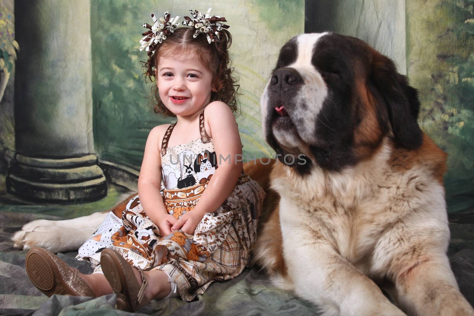 Child and Her Saint Bernard Puppy Dog