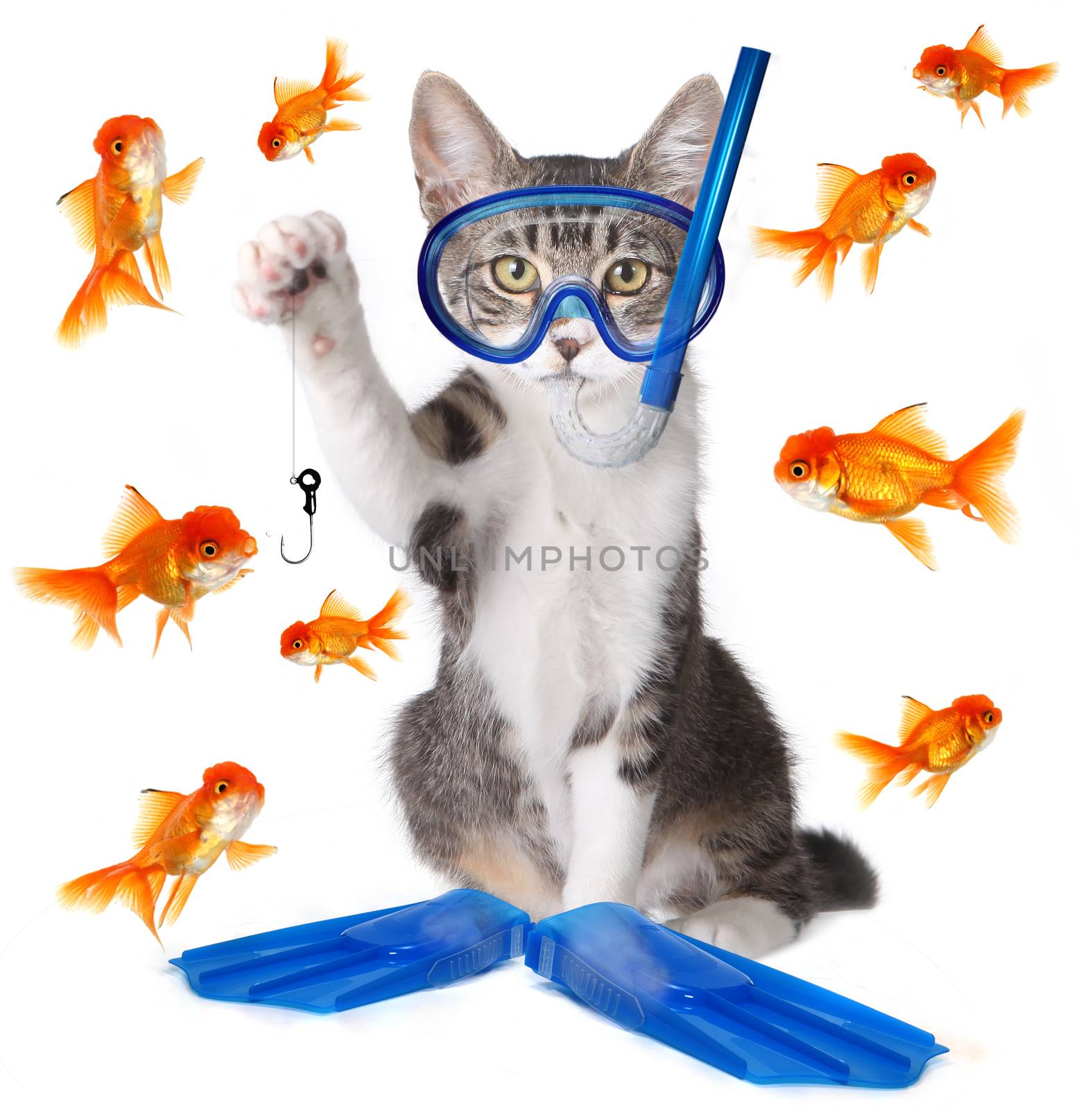 Funny Image of a Cat Fishing. Conceptually Analogous with the Te by tobkatrina