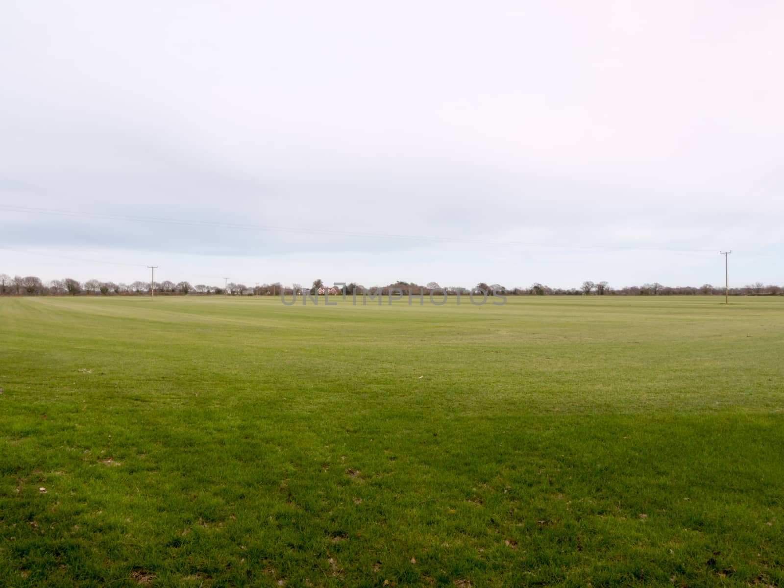A field of cut grass with a white sky