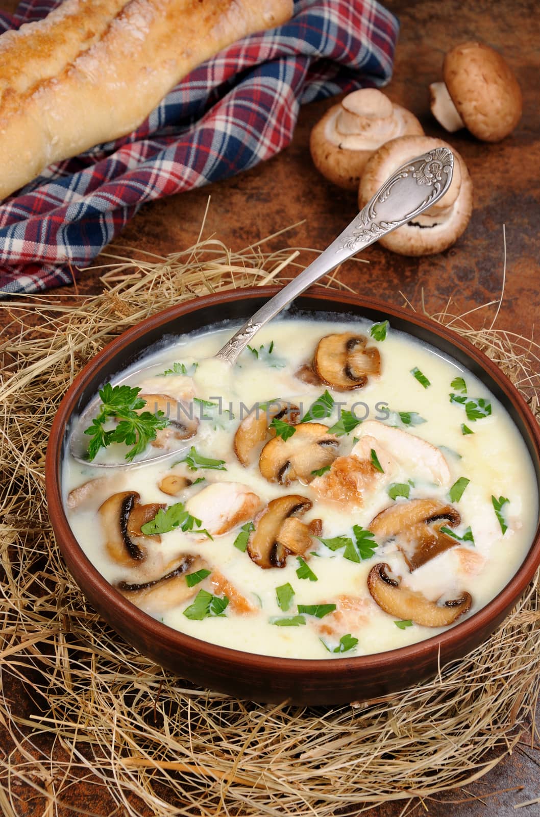 Delicate soup puree from champignons and chicken with herbs