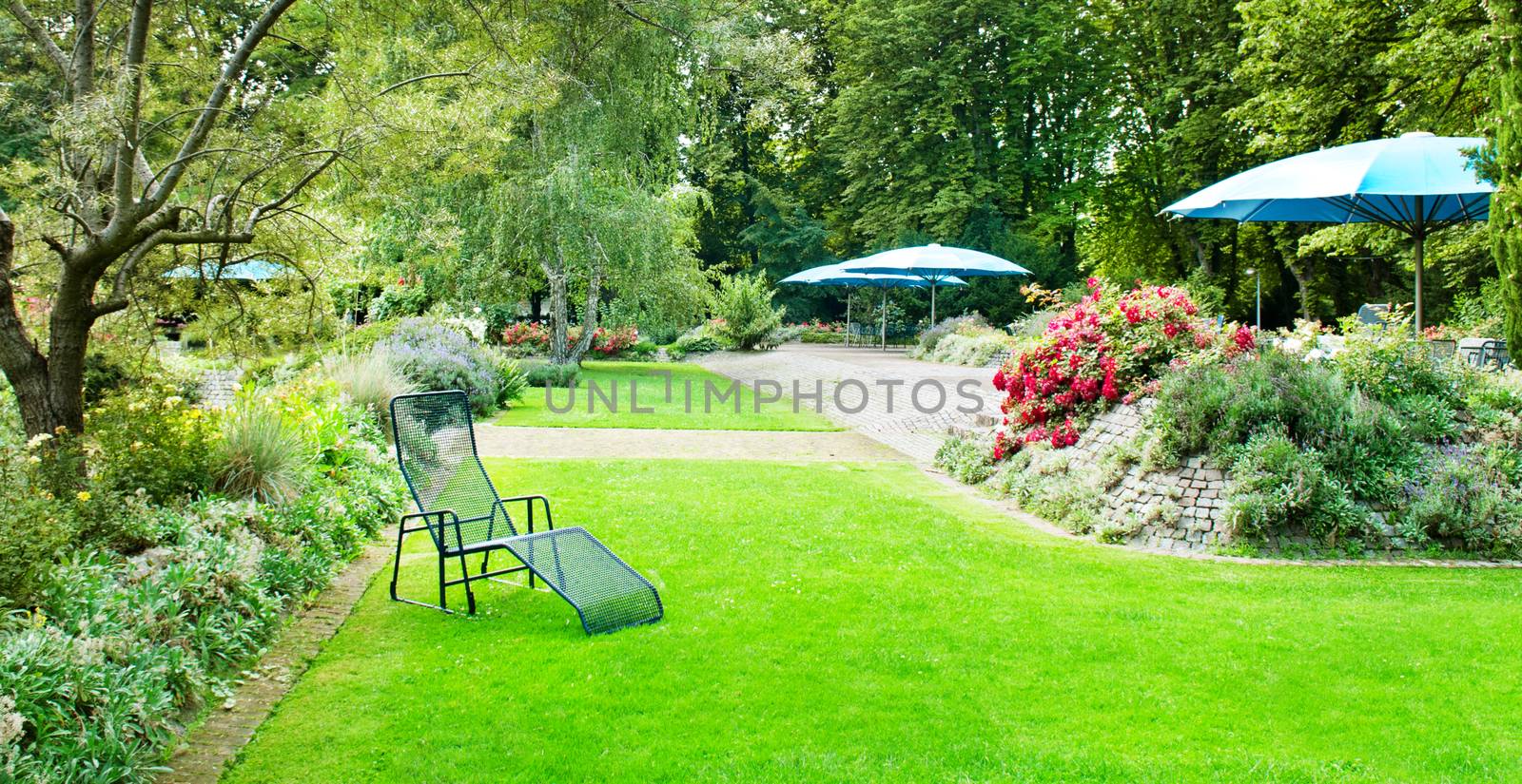 beautiful summer park with green lawns and flower beds