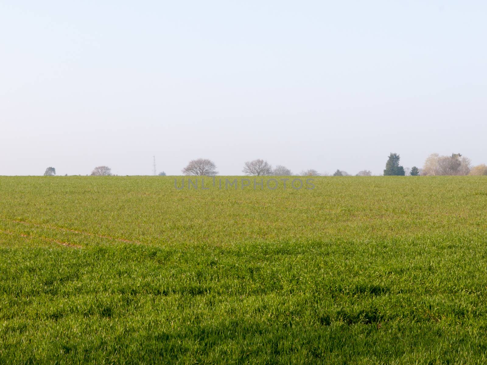 Farming fields with grass, being plowed and seeded