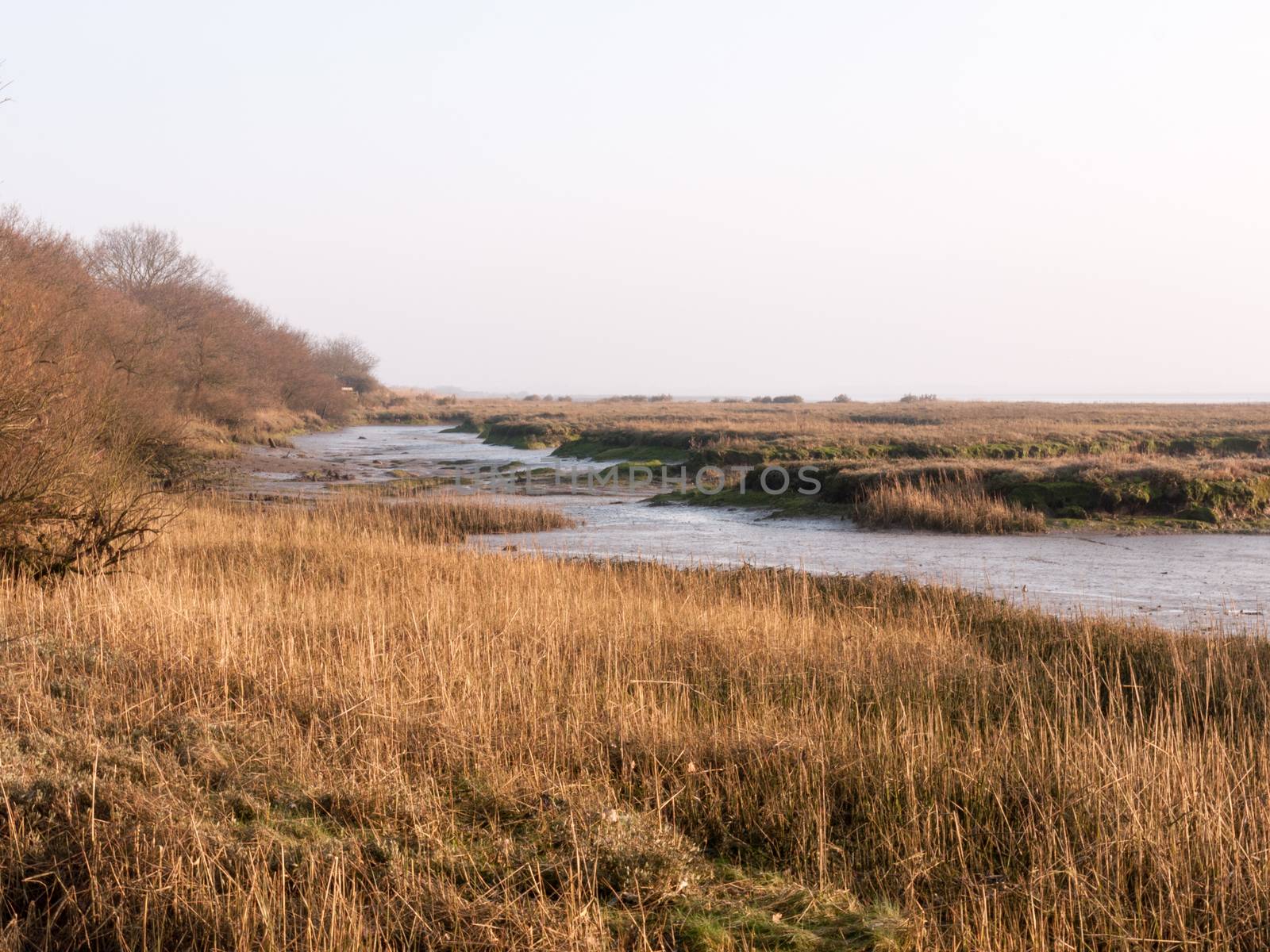 Various shots of the river and the mud, along with many birds, buoys, and other sea structures, as the sun sets