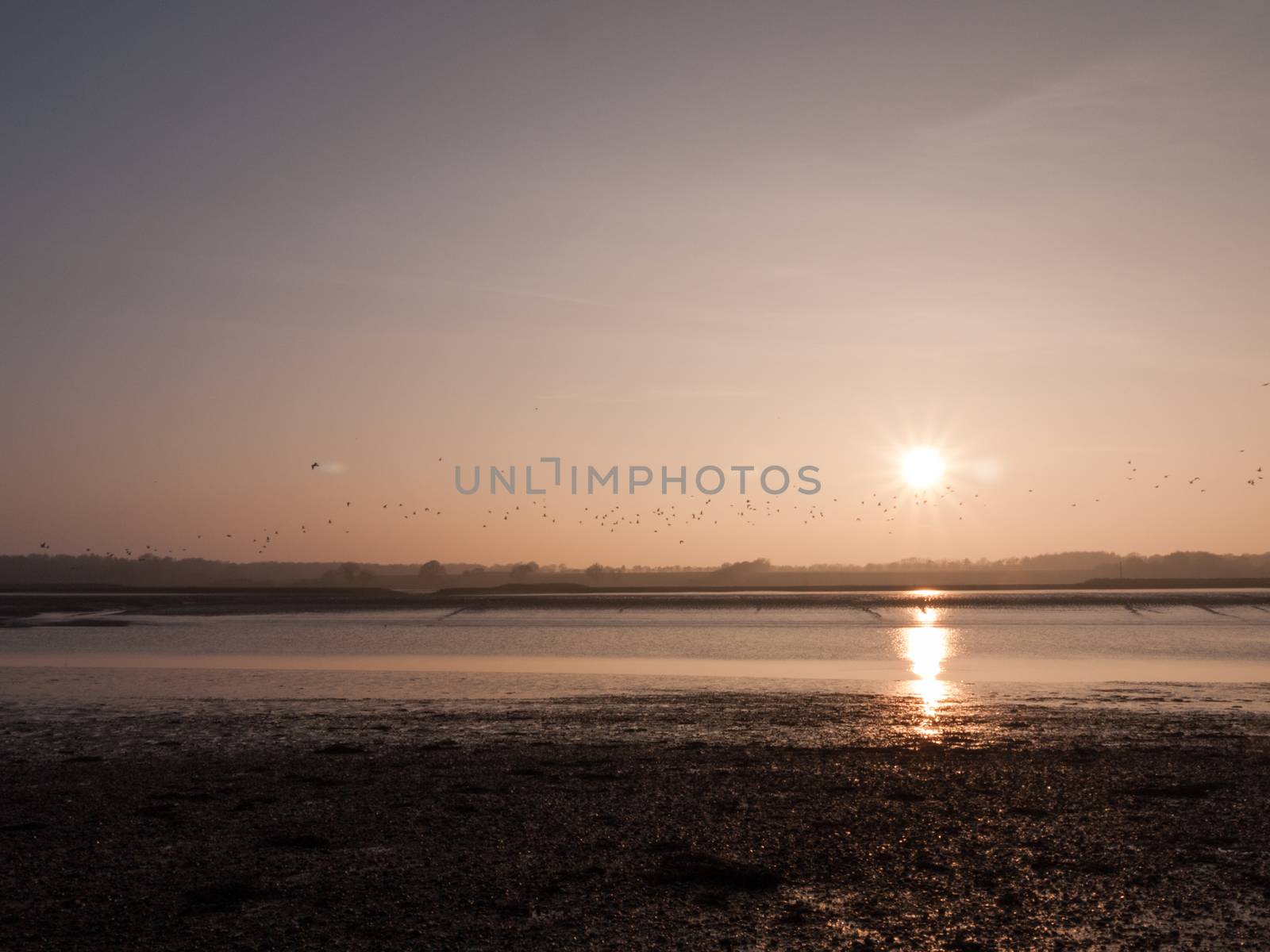 Various shots of the river and the mud, along with many birds, buoys, and other sea structures, as the sun sets