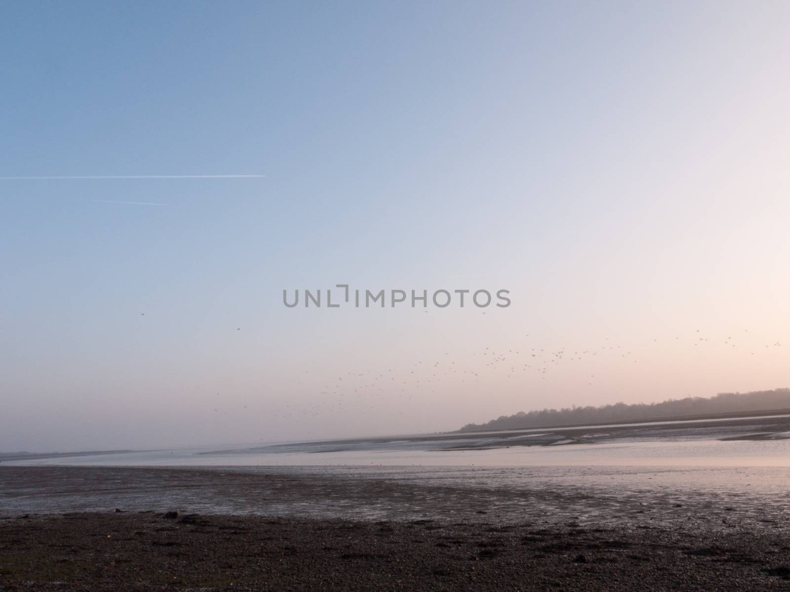 Various shots of the river and the mud, along with many birds, buoys, and other sea structures, as the sun sets