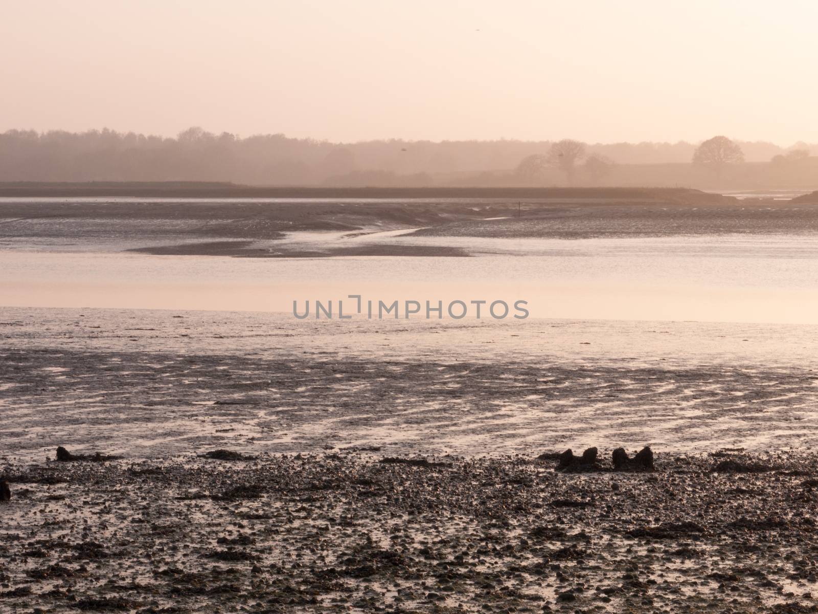 Various shots of the river and the mud, along with many birds, buoys, and other sea structures, as the sun sets