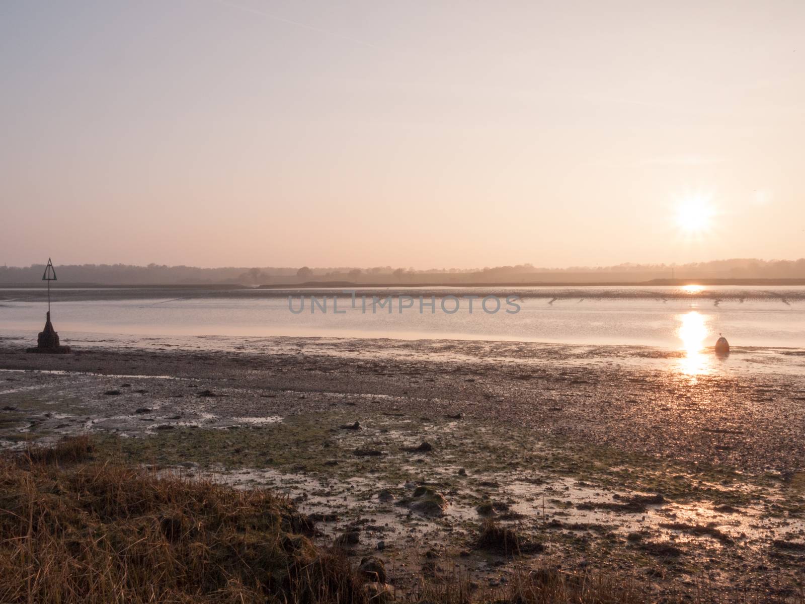 Incredibly Beautiful Shots of the River Beds in Wivenhoe Essex a by callumrc