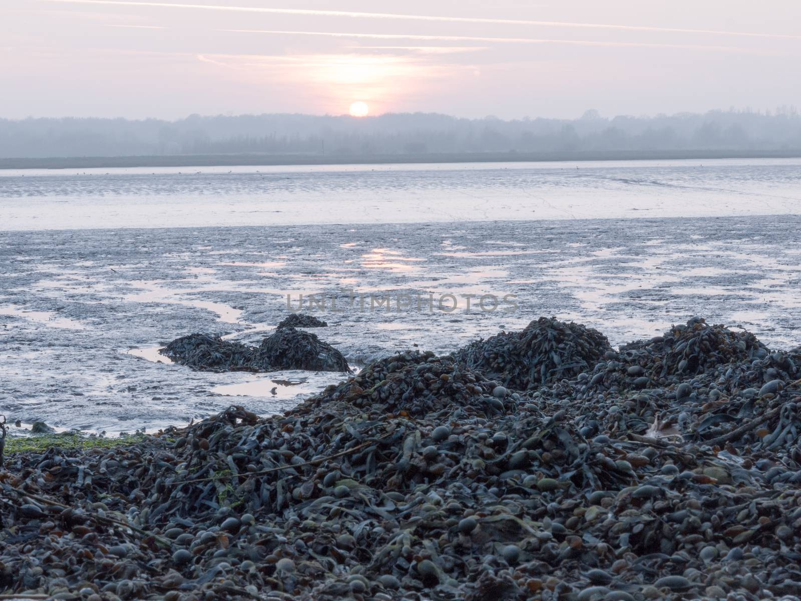 Various shots of the river and the mud, along with many birds, buoys, and other sea structures, as the sun sets