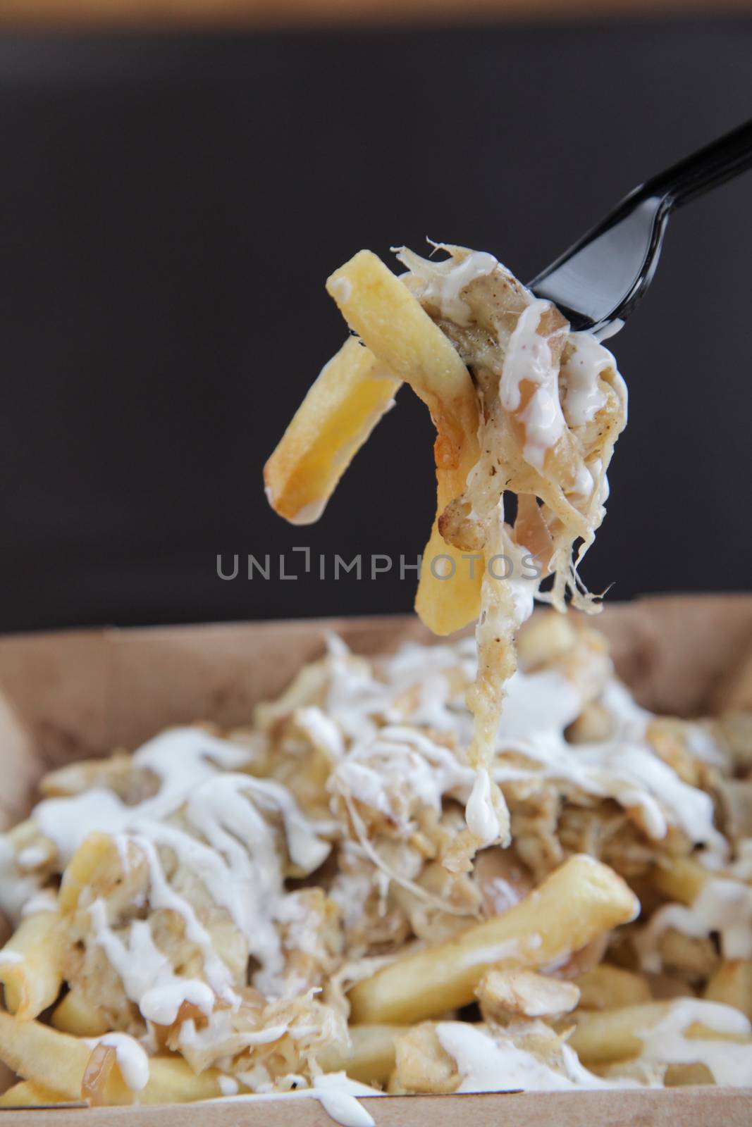 Poutine fries with meat and cheese fork by haiderazim