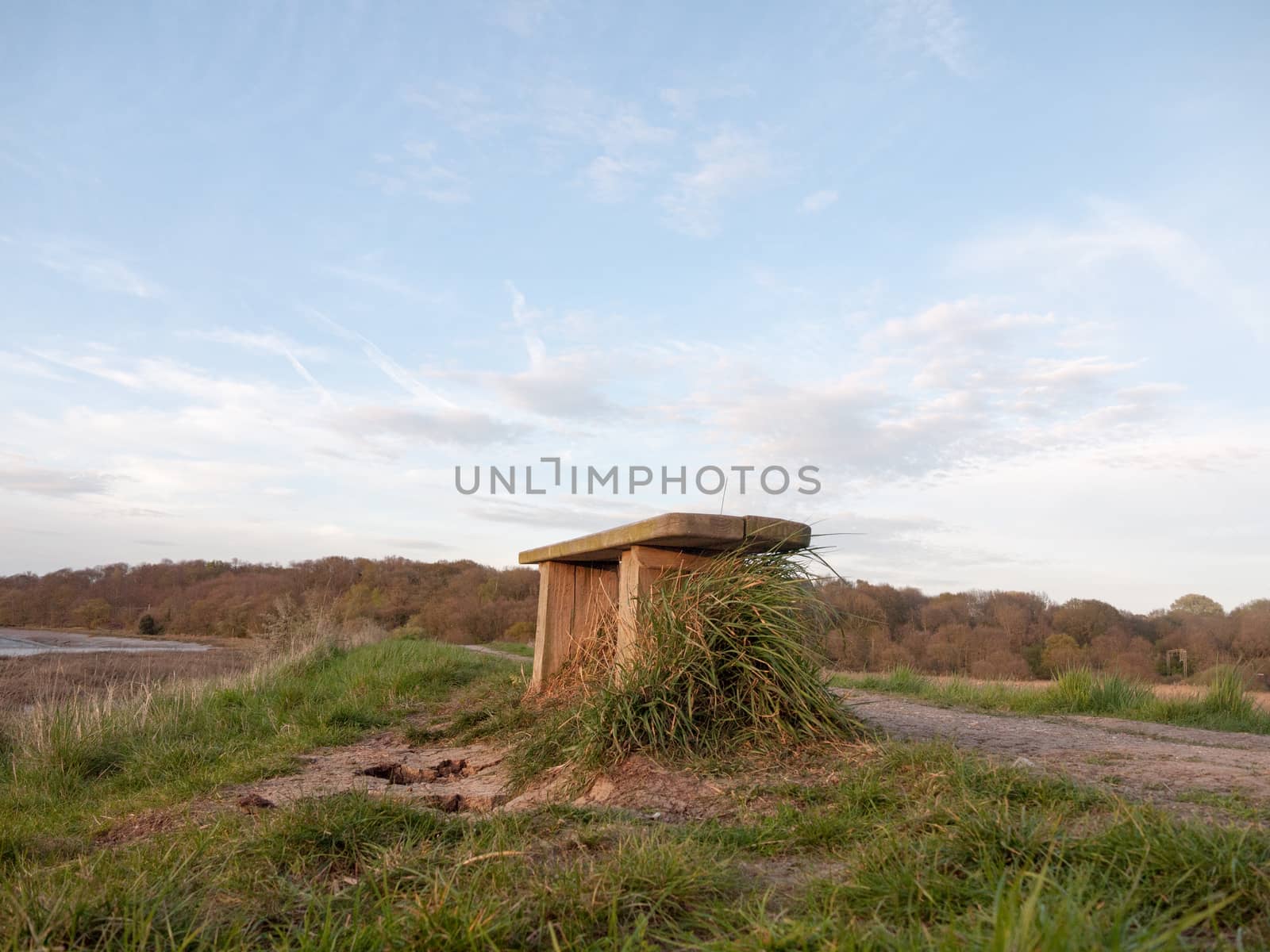 A Bench Upon the Bank of  river with Tree line and blue skies an by callumrc