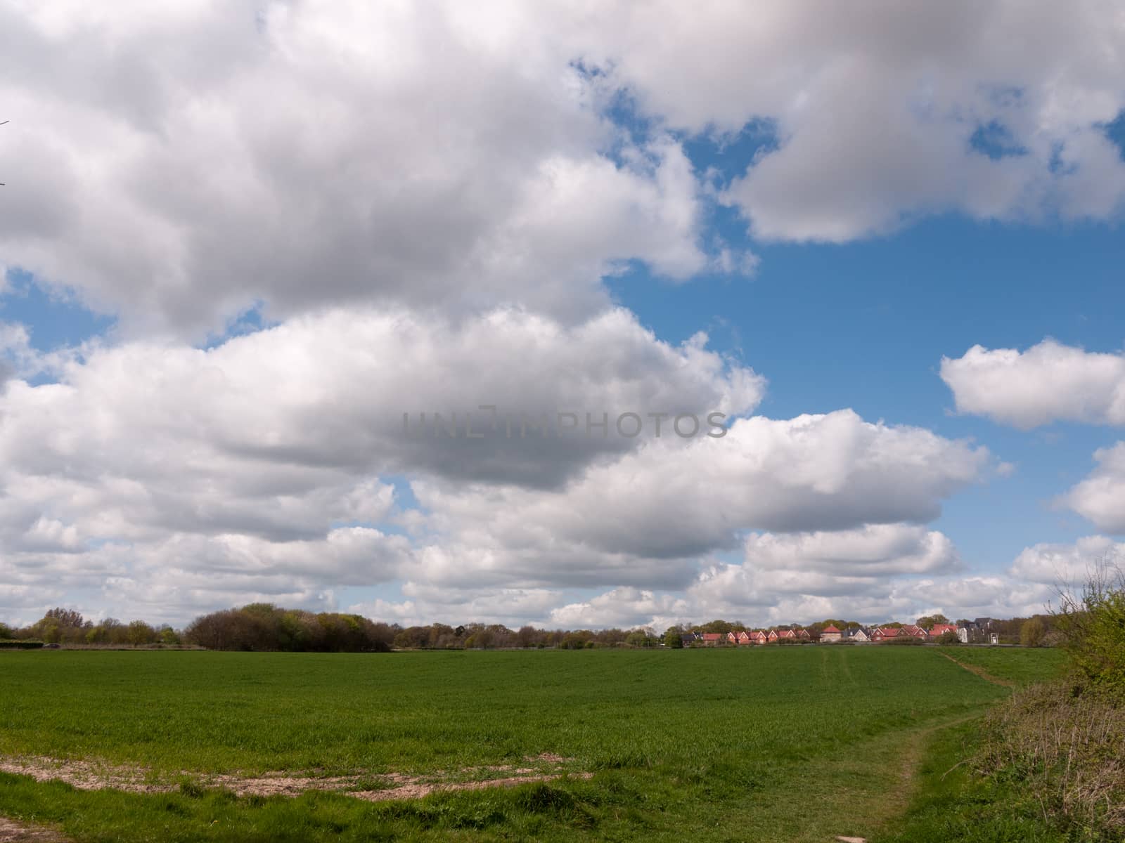 A Lovely Lush Meadow on A Clear Sping Day with Beautiful Clouds  by callumrc