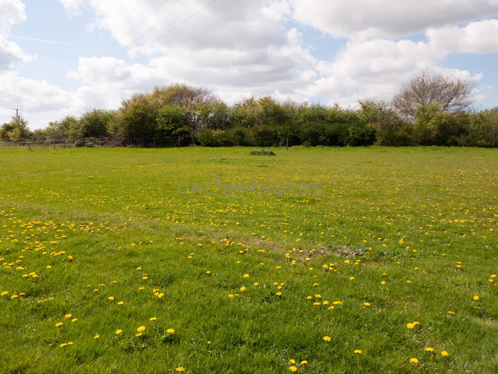 A Gorgeous Green Field and Blue Skies with White Clouds, As well by callumrc