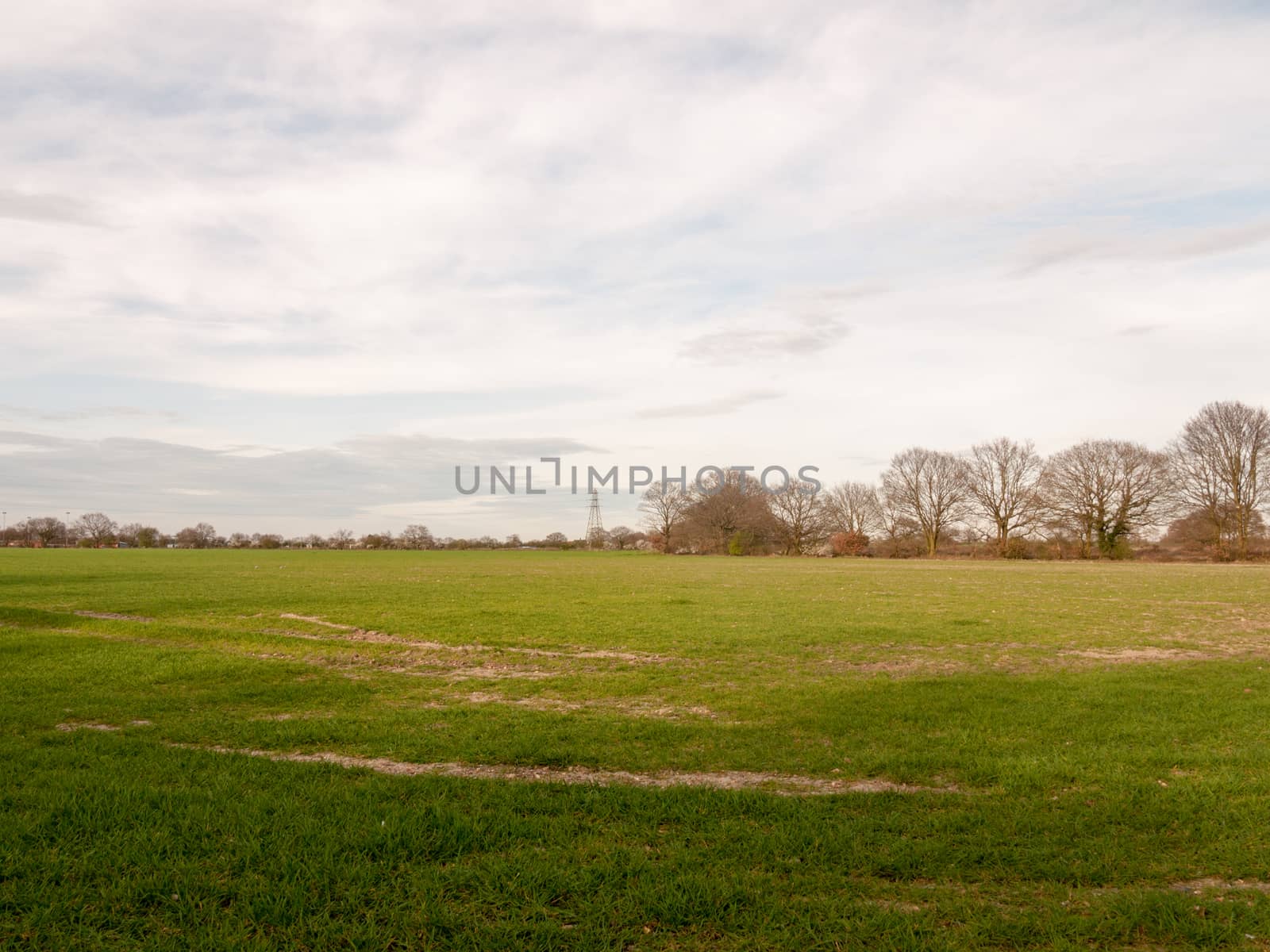 A Lush Empty Field with a Stunning Sky and Ground with a Trail in it