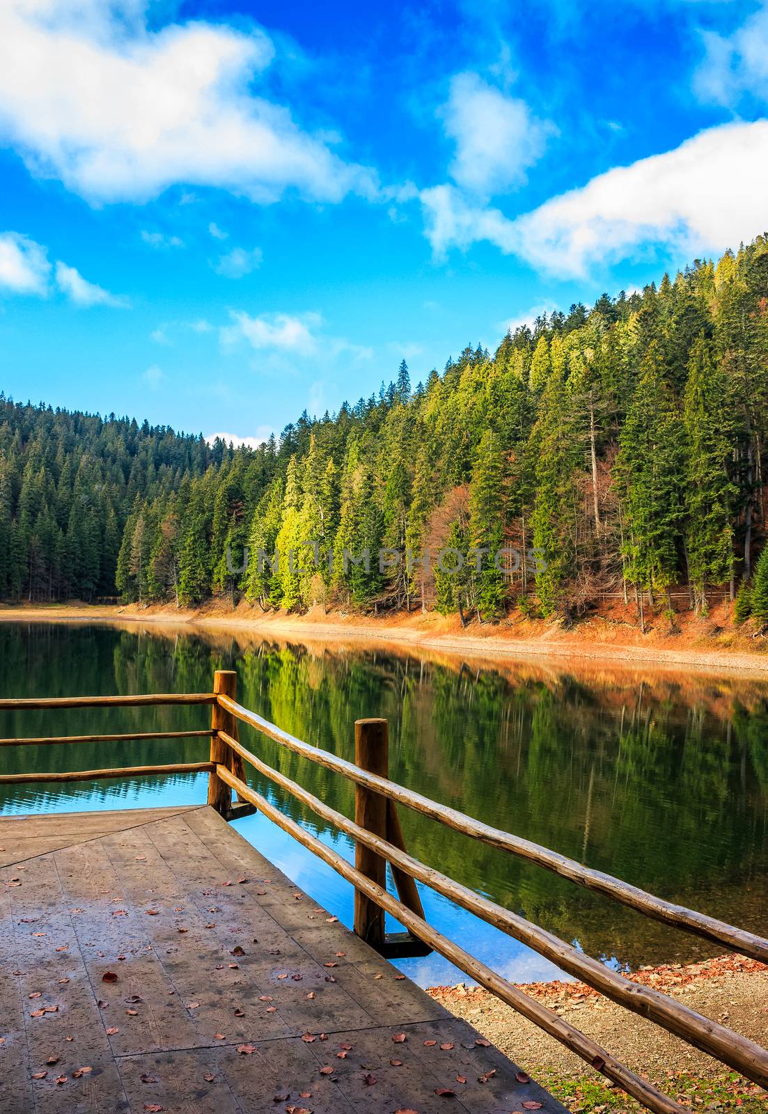 pier with wooden fence on the Lake in mountains. coniferous forest and some trees with red foliage in autumn. National Park Synevir, Ukraine