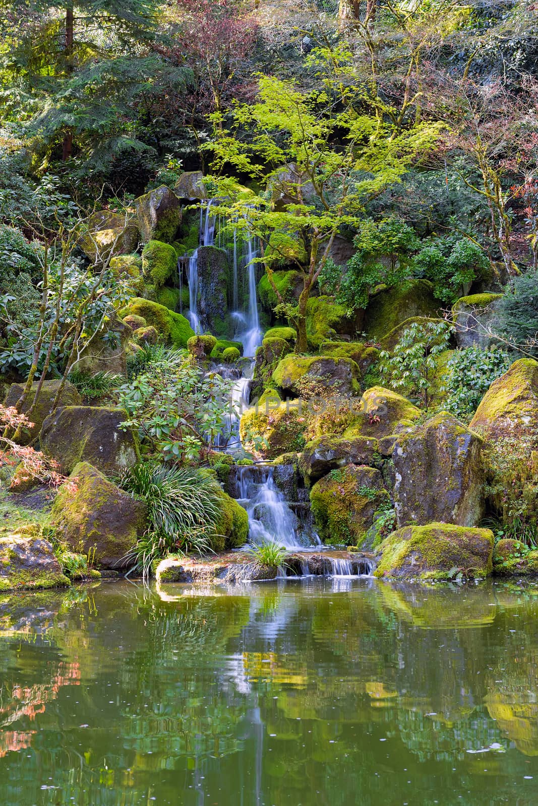 Heavenly Falls in Portland Japanese Garden during Spring Season