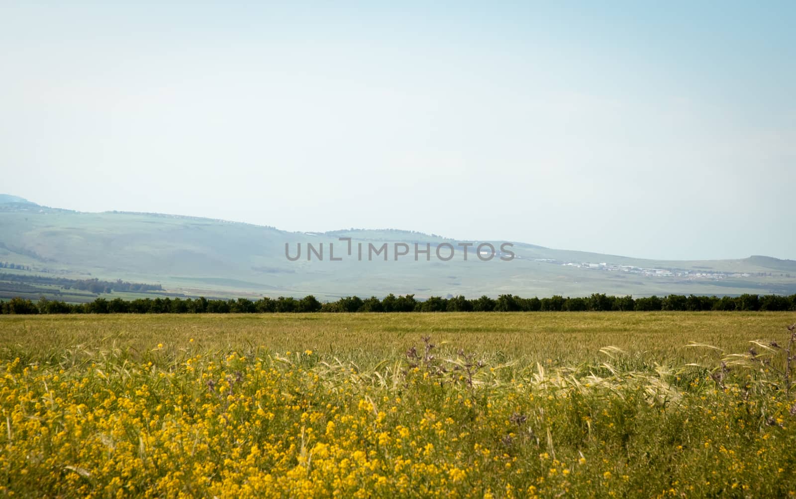 View from Galilee Mountains near Galilee Sea - Kinneret, Israel.