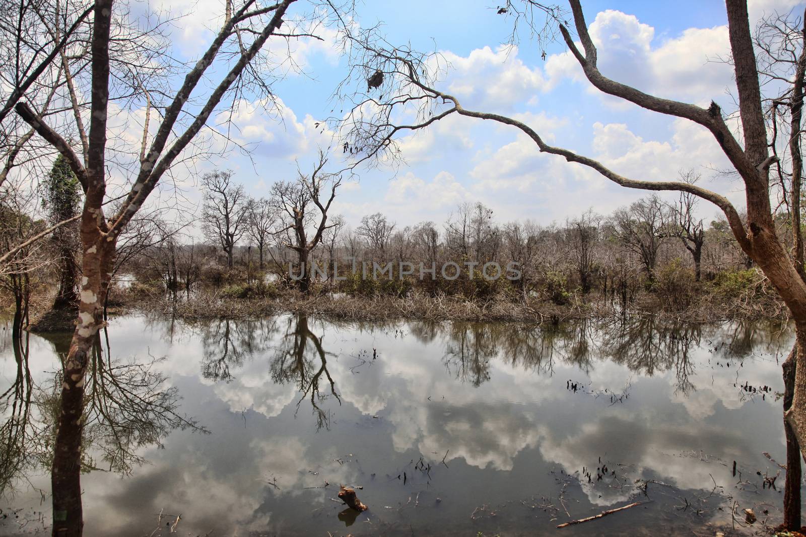Lake with reflections of clouds. Cambodia