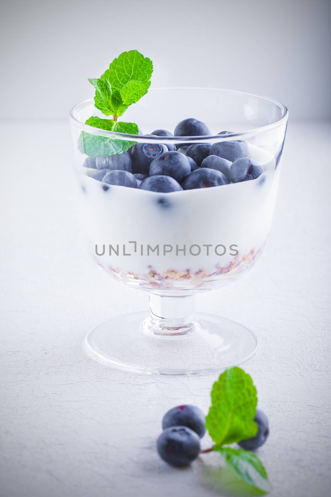 Yogurt with fresh blueberry and muesli by supercat67