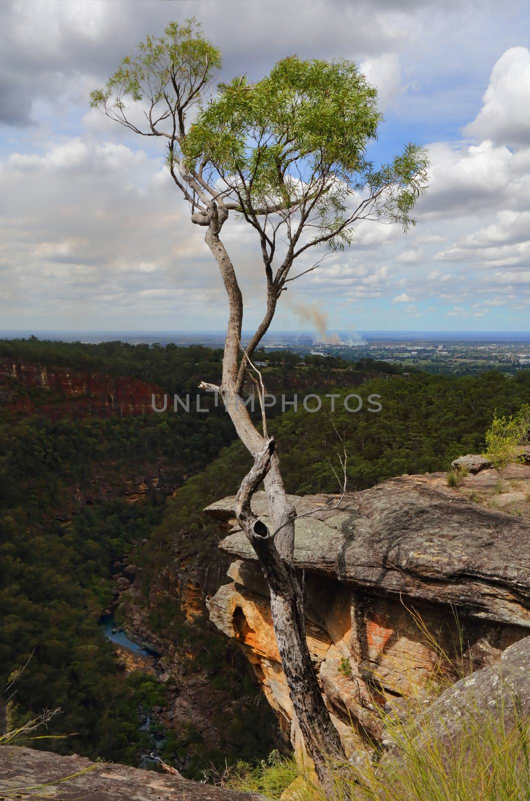 Views along Glenbrook Gorge with Glenbrook creek below.  Penrith Valley and greater Sydney beyond. Many bushwalks take you down into the gorge and along the creek beds until you reach the Nepean  River.