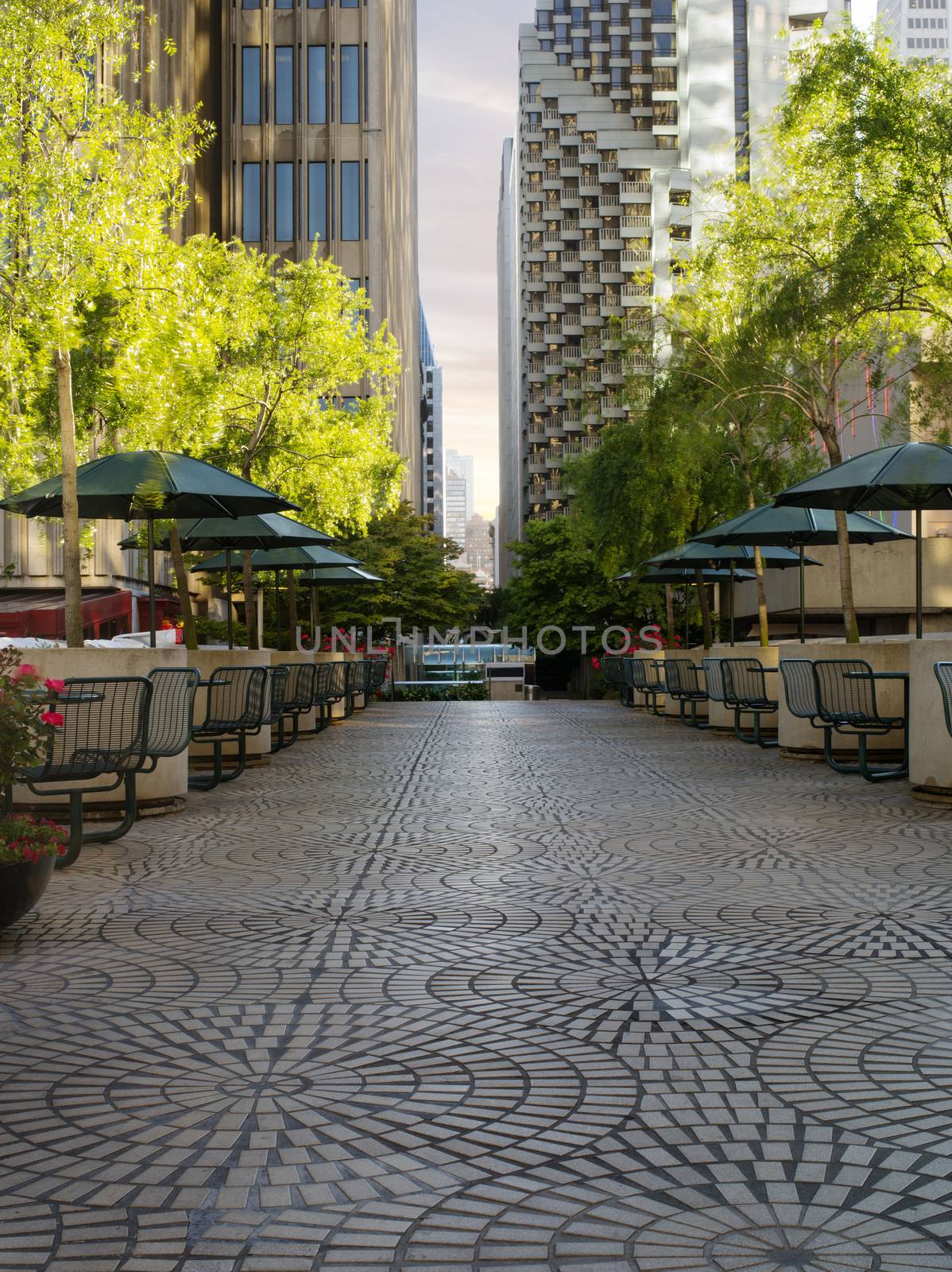 panoramic view of nice home town street during summer sunset