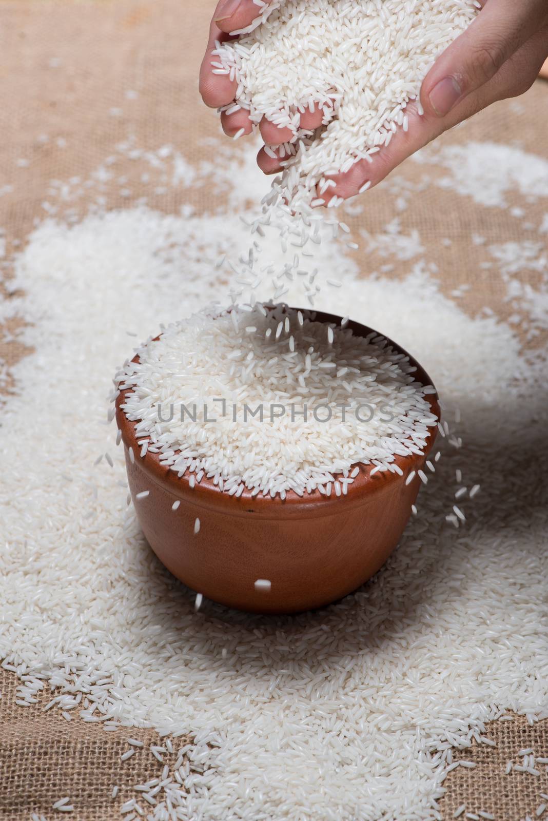 Rice in spoon and bowl. Jasmine Rice, Thai Rice, White Rice.