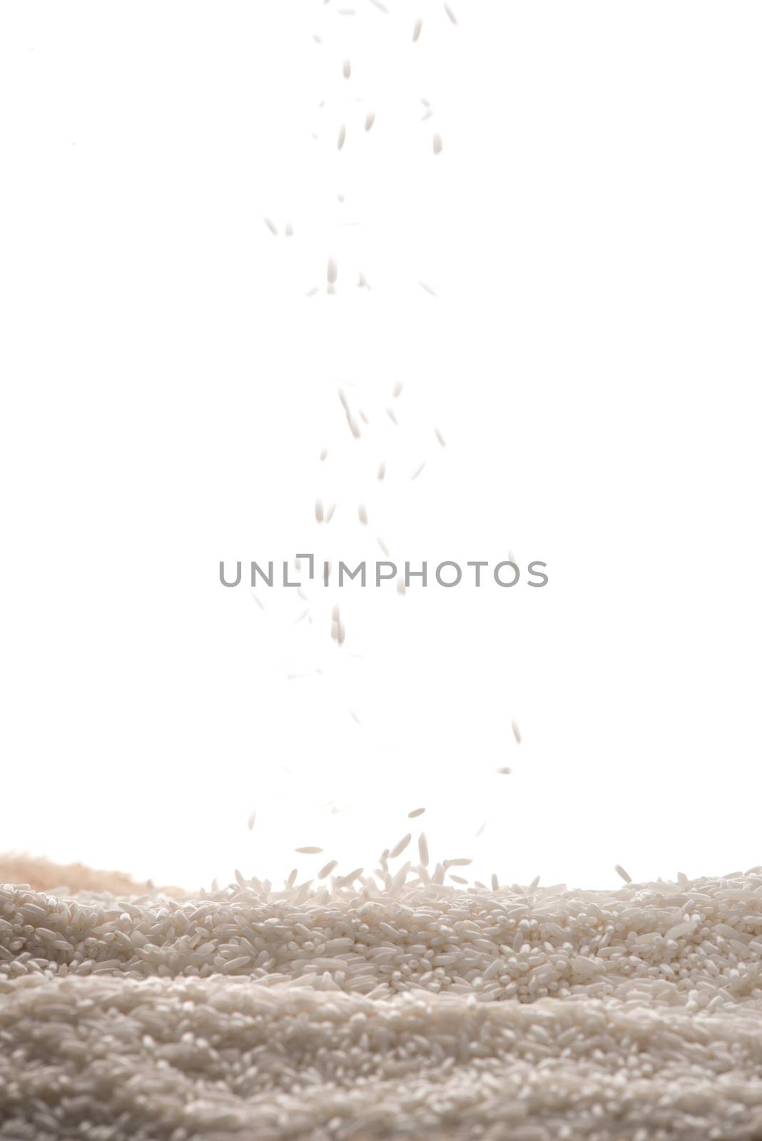 White Rice falling down. Jasmine Rice, Thai Rice, Raw Rice. by makidotvn