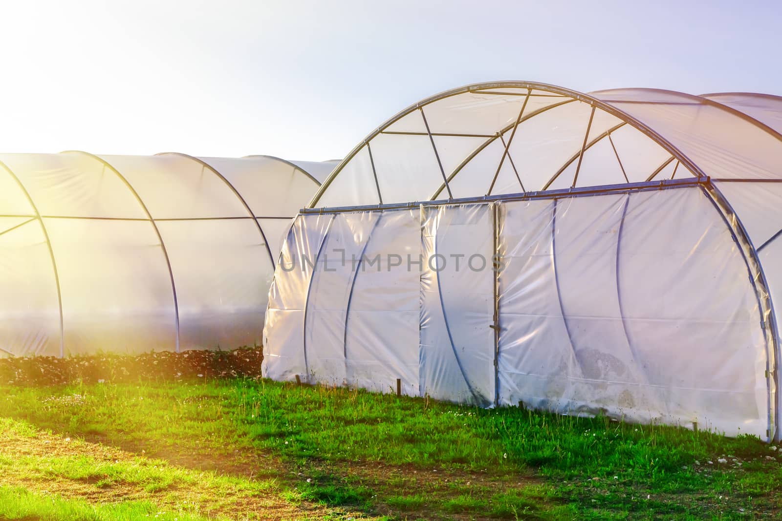 Sunset on outside view of greenhouse by pixinoo