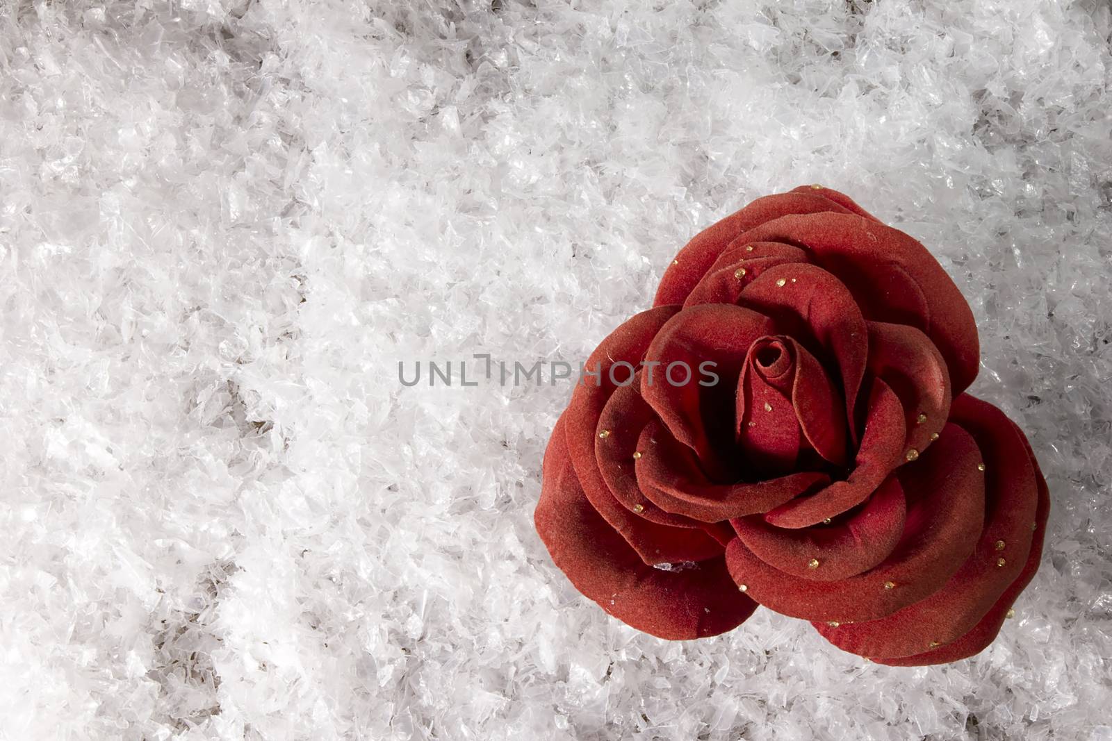 Valentine card with red rose in white snow