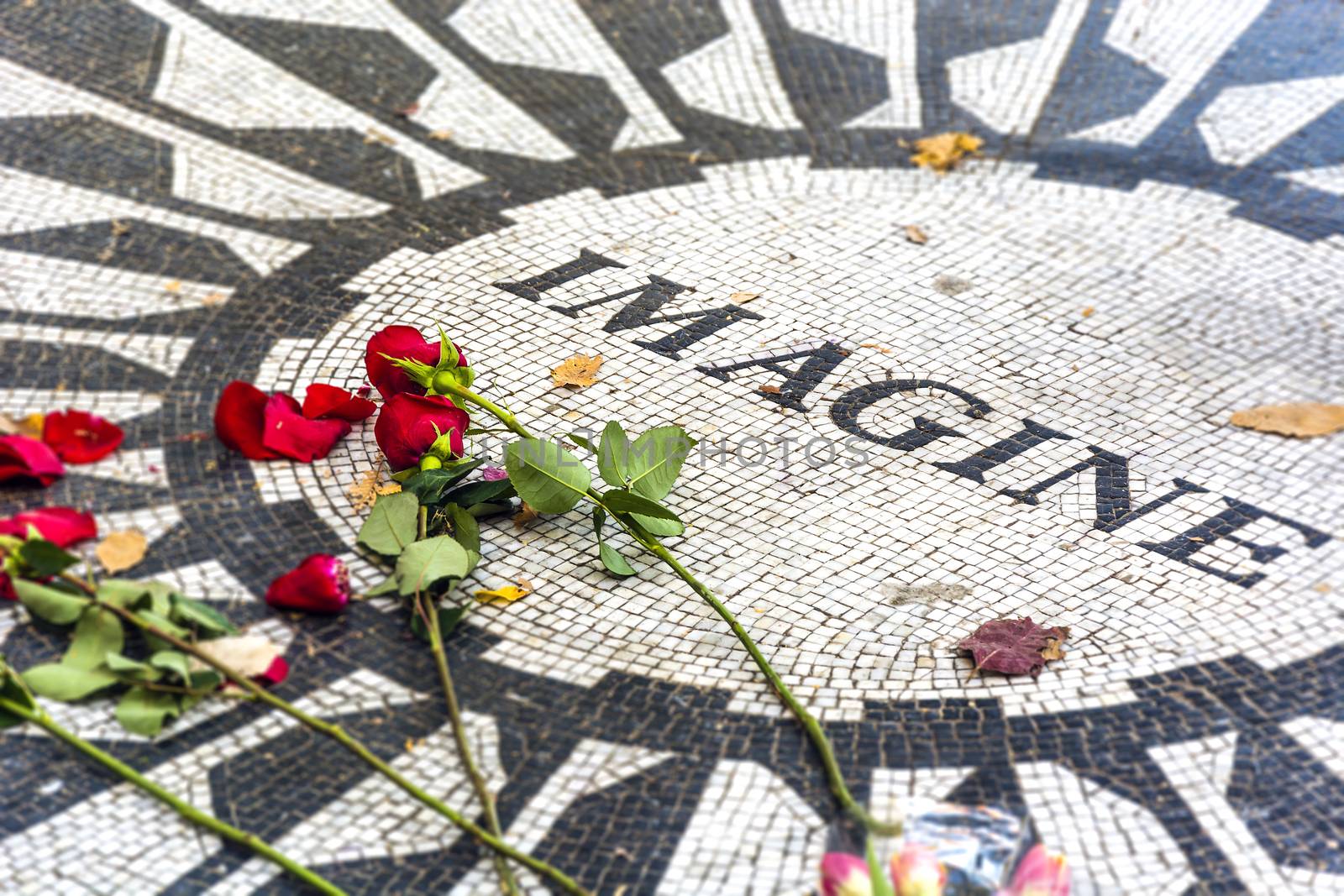 Strawberry Fields, the John Lennon Memorial in Central Park