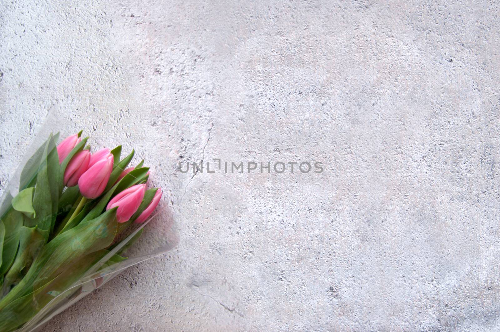 Tulips by unikpix