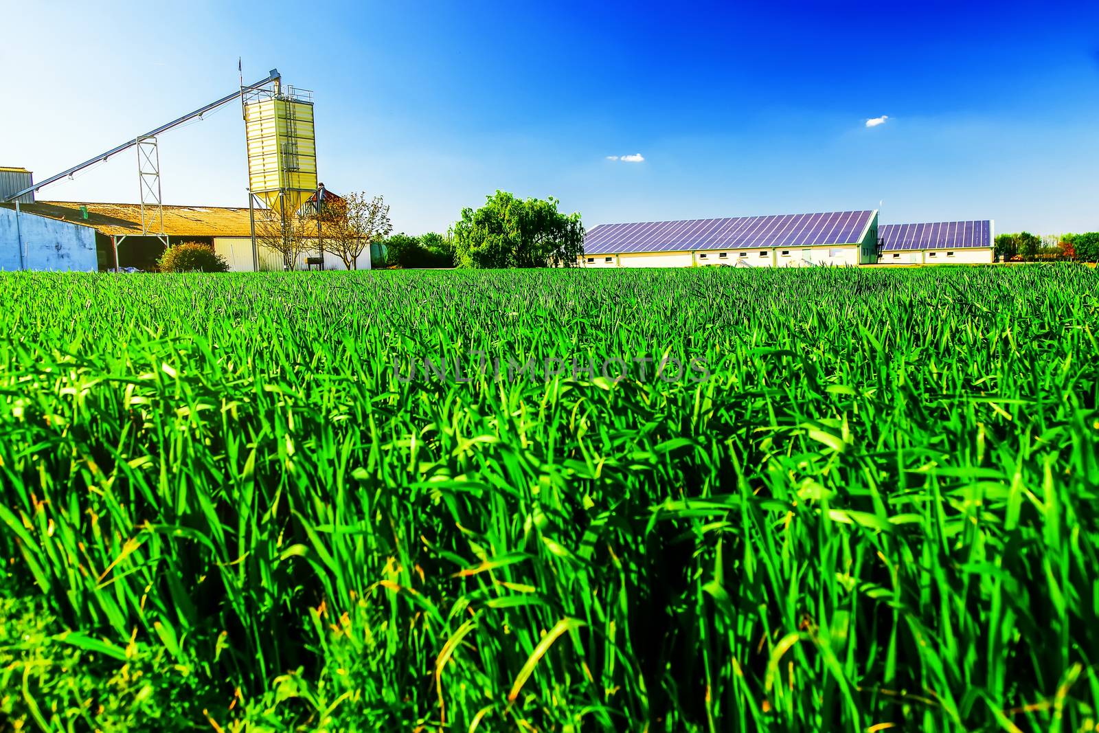 Modern farm with solar panels on a roof by pixinoo