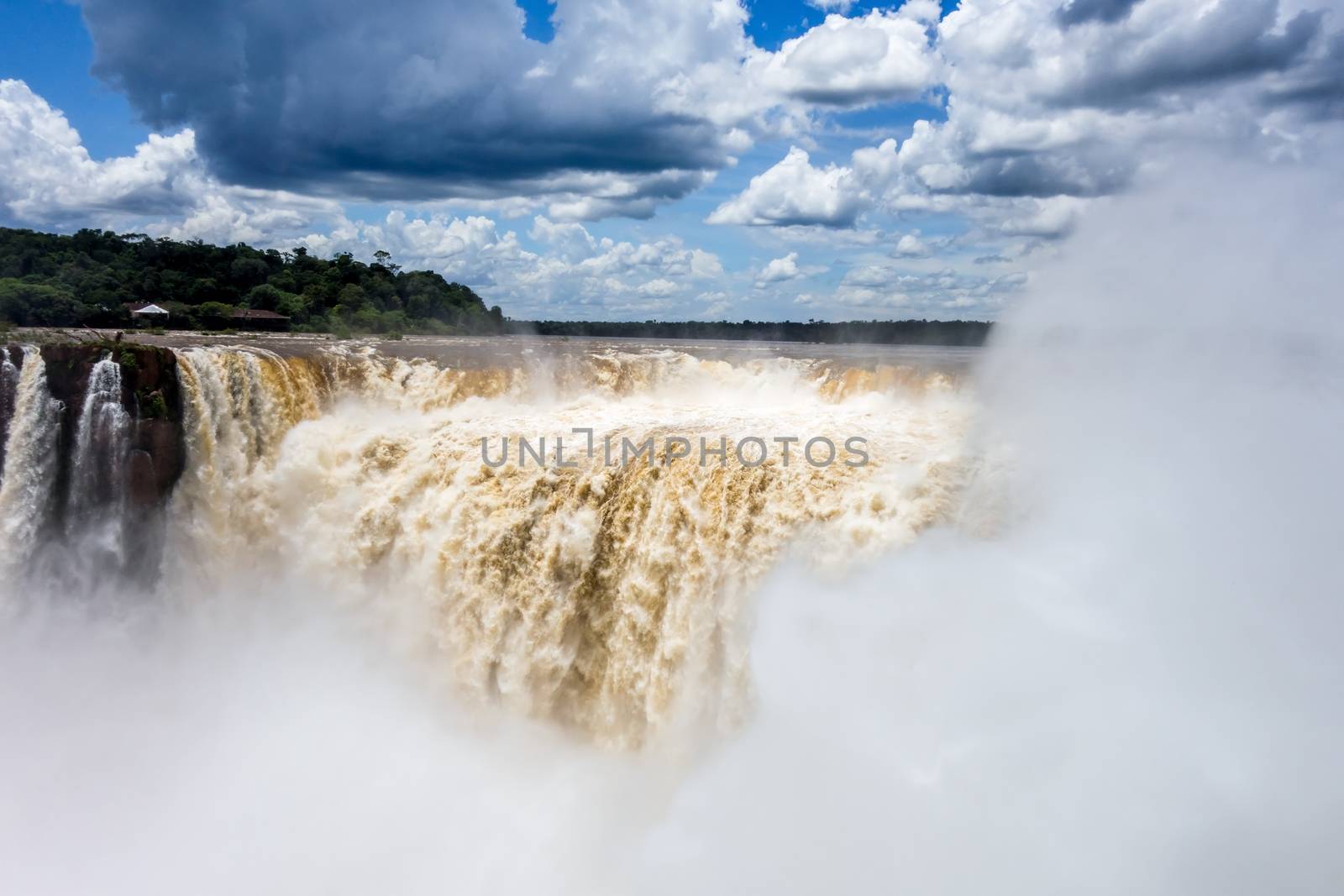 iguazu falls national park. tropical waterfalls and rainforest landscape