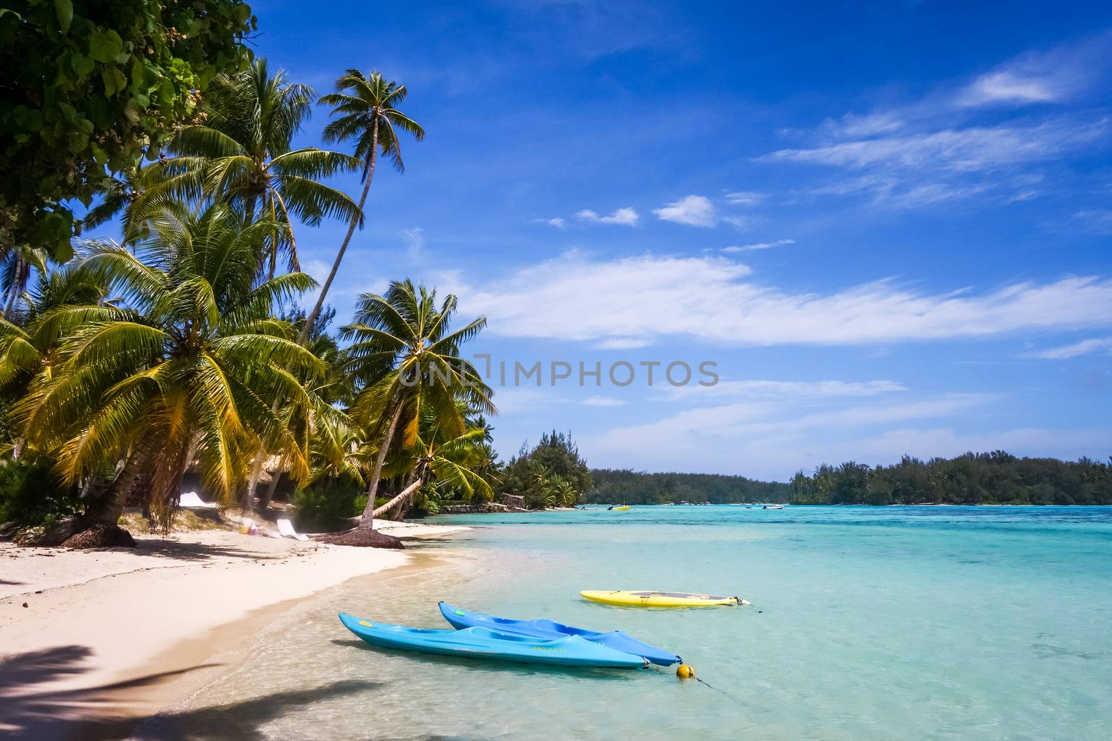 Paradise tropical beach and lagoon in Moorea Island. French Polynesia