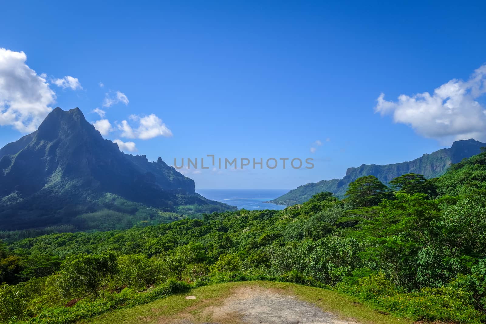 Aerial view of Opunohu, Cook’s Bay and lagoon in Moorea Island by daboost