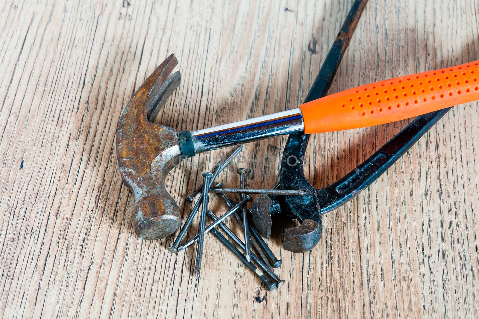 Black  mites and hammer with a red hand and several nails lie on a wooden board