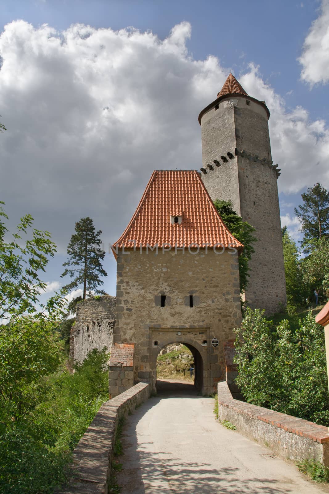 Zvikov castle by rainfallsup