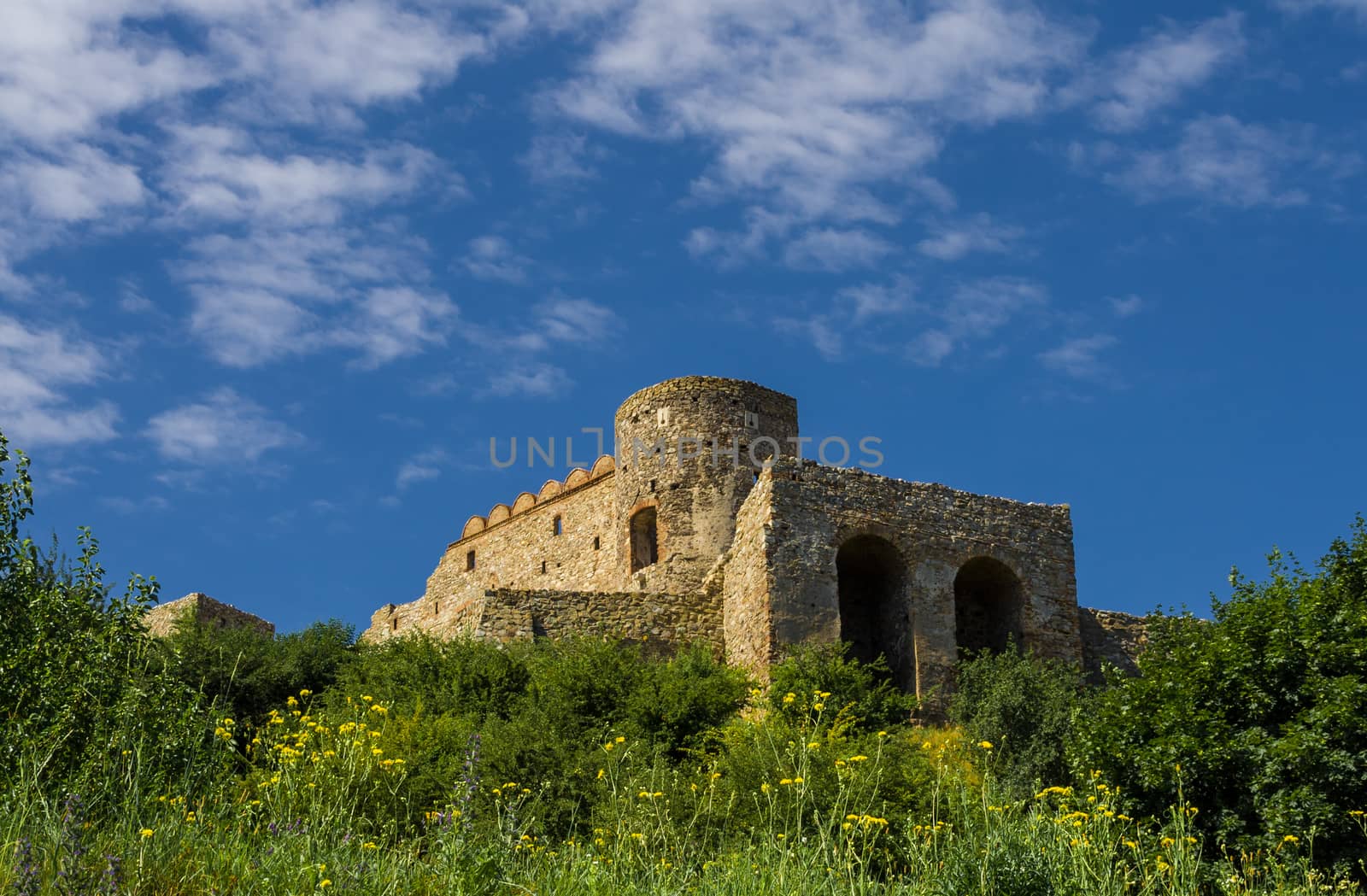 Devin castle in Slovakia by rainfallsup